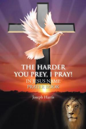 Cover of the book The Harder You Prey, I Pray! by Cash Bond