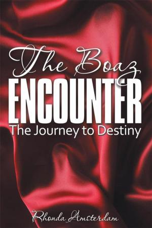 Cover of the book The Boaz Encounter by Carolyn Breckinridge