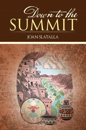 Cover of the book Down to the Summit by J. Danny Hone