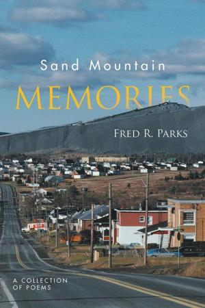 Cover of the book Sand Mountain Memories by Jude Uddoh