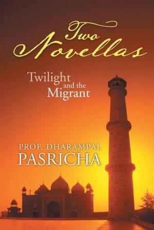 Cover of the book Two Novellas by Niti Majethia