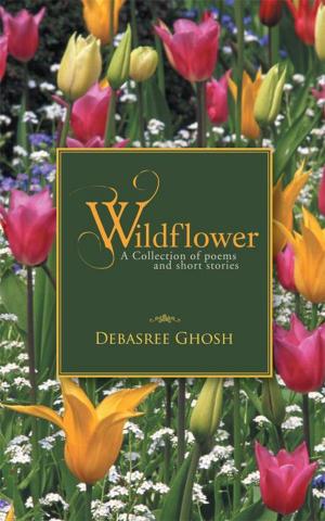 Cover of the book Wildflower by Daniel N Brown
