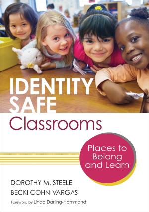 Cover of the book Identity Safe Classrooms by 
