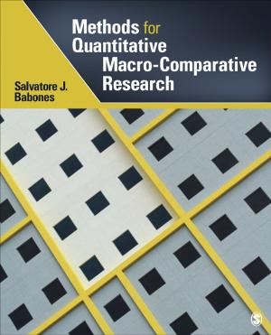 Book cover of Methods for Quantitative Macro-Comparative Research