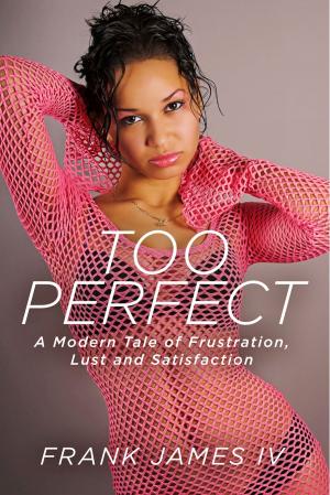 Cover of the book Too Perfect by Grant Flint