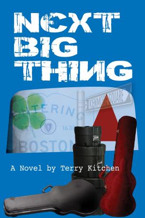 Cover of the book Next Big Thing by Steve Prouty