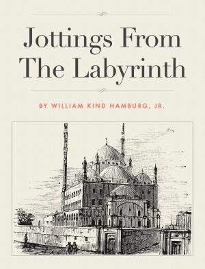 Cover of the book Jottings From The Labyrinth by Zane Safrit