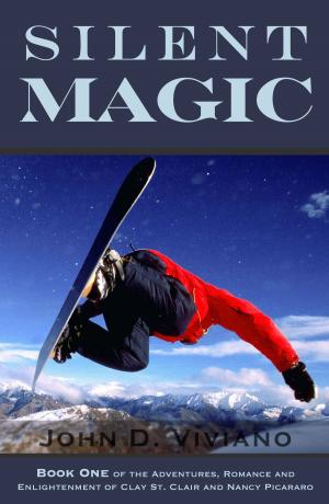 Cover of the book Silent Magic by Richard Quinn