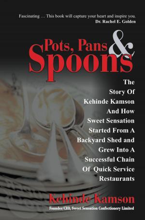 Book cover of Pots, Pans & Spoons