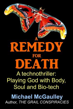 Book cover of A Remedy for Death
