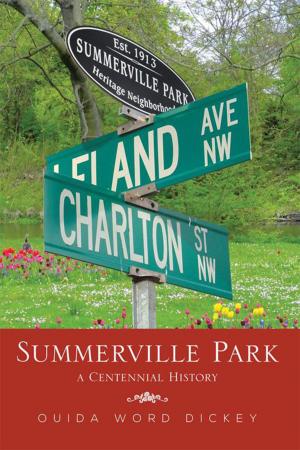 Cover of the book Summerville Park by Stephanie Plain Potter