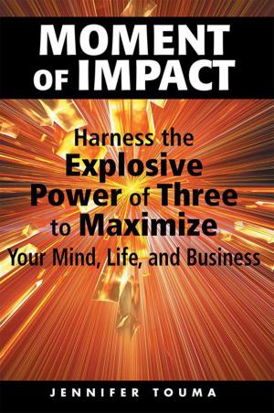 Cover of the book Moment of Impact by Fariba Nazari