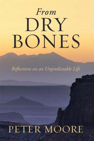 Book cover of From Dry Bones