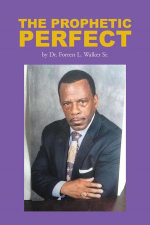 Cover of the book The Prophetic Perfect by Oruonye Samuel