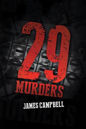 Cover of the book 29 Murders by Craig Bennett Hallenstein