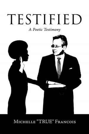 Cover of the book Testified by K. Mareet