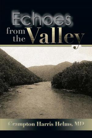 Cover of the book Echoes from the Valley by M.L. Lindberg