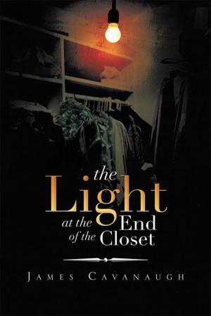 Cover of the book The Light at the End of the Closet by Paul Easter