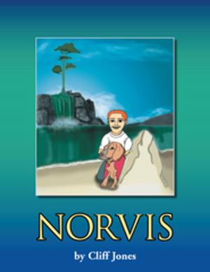 Cover of the book Norvis by Berns Mimnaugh