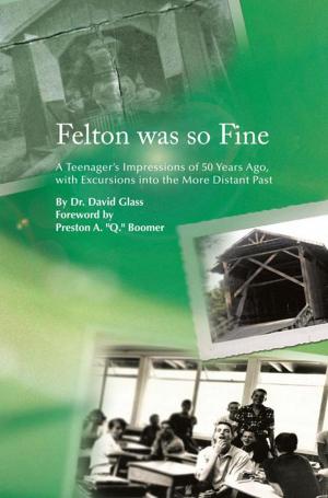 Cover of the book Felton Was so Fine by Eurydice V. Osterman