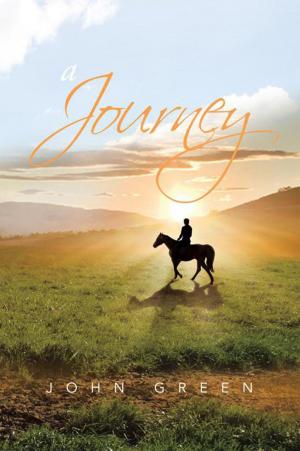 Cover of the book A Journey by Willow N. Groskreutz Groskreutz