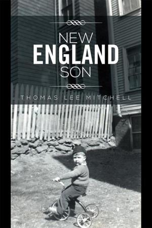 bigCover of the book New England Son by 