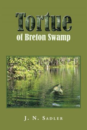 Book cover of Tortue of Breton Swamp
