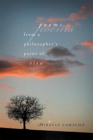 Cover of the book Poems from a Philosopher's Point of View by Roger Leon Burnley