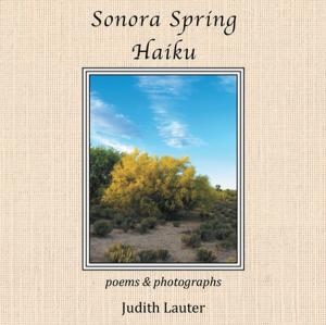 Cover of the book Sonora Spring Haiku by Fernando Briceño