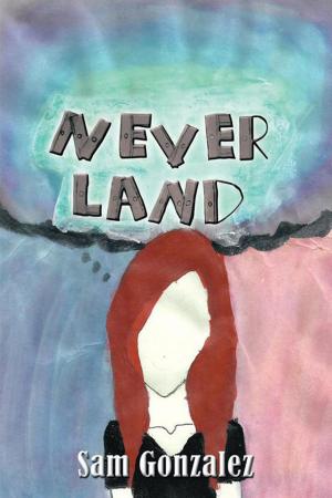 Cover of the book Never Land by Inge Claus