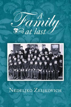 Cover of the book A Family at Last by Kamernebti Mer Amon