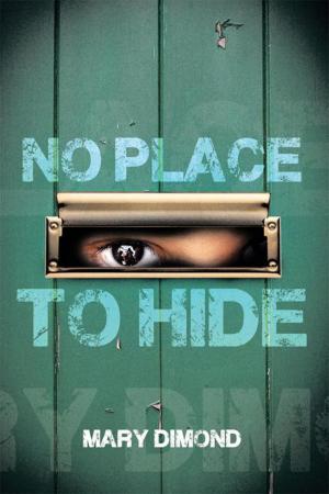 Cover of the book No Place to Hide by Monroe Silver