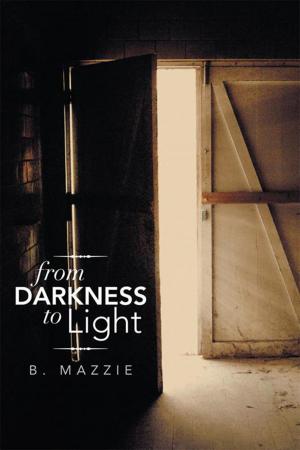 Cover of the book From Darkness to Light by Leslie Herzberger