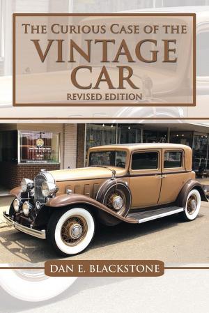 Book cover of The Curious Case of the Vintage Car