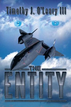 Cover of the book The Entity by Doris Washington