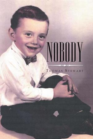 Cover of the book Nobody by Steven Joseph