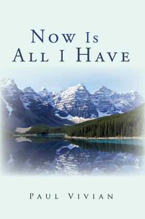 Cover of the book Now Is All I Have by G. Allison Weaver