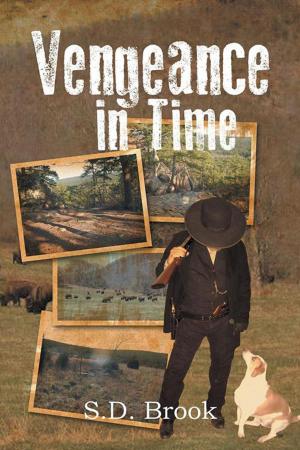 Book cover of Vengeance in Time