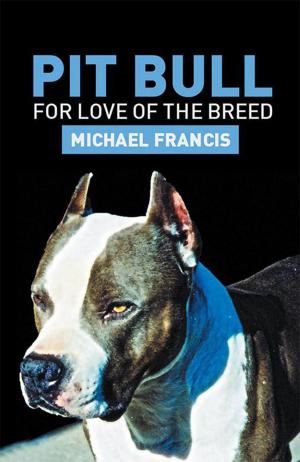 bigCover of the book Pit Bull by 