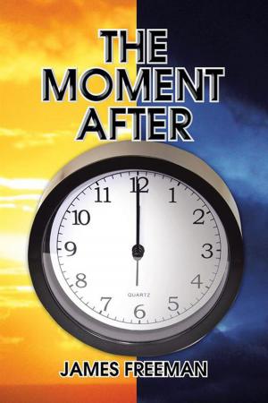 Cover of the book The Moment After by James Mitchum Oates