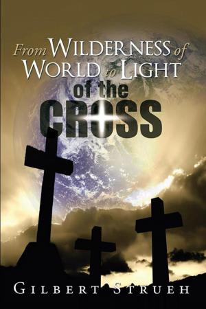 Cover of the book From Wilderness of World to Light of the Cross by Cutting Edge Real Estate Academy
