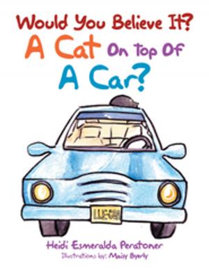 Cover of the book Would You Believe It? a Cat on Top of a Car? by Casey J. Hansen