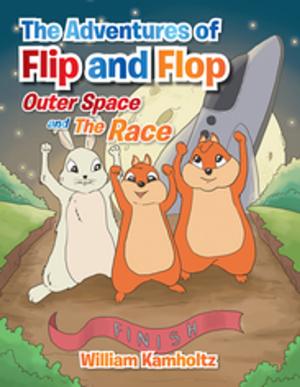 Book cover of The Adventures of Flip and Flop