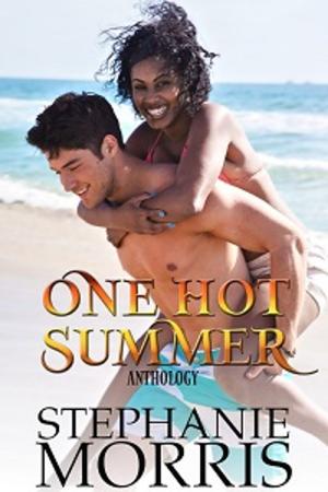 Book cover of One Hot Summer Anthology
