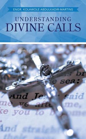 Cover of the book Understanding Divine Calls by Kemp McCoy