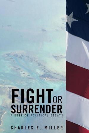 Cover of the book Fight or Surrender by Dr. James Oliver Richardson Jr.