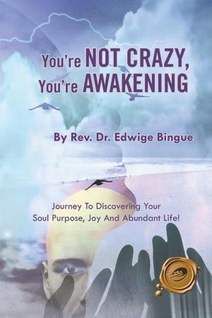 Cover of the book You're Not Crazy, You're Awakening by Dr. Angell O. de la Sierra ESQ.