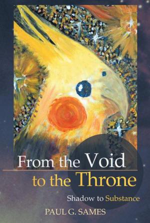 Cover of the book From the Void to the Throne by J.F. Fisher