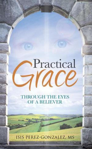 Cover of the book Practical Grace by Brother Jim Michalek