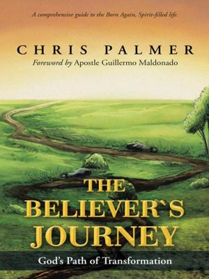 Book cover of The Believer’S Journey